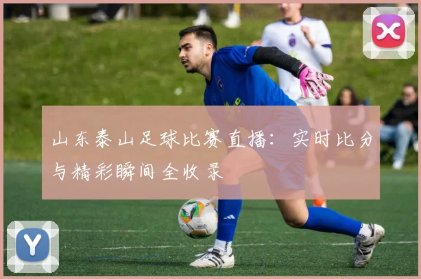 山东泰山足球比赛直播：实时比分与精彩瞬间全收录